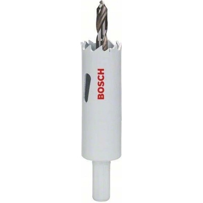 Bosch 2609255608
