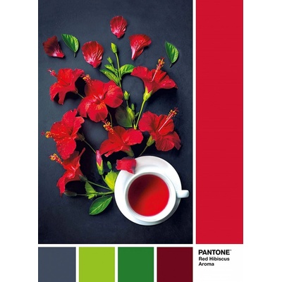 Clementoni Pantone Červený Ibišek 39494 1000 dílků