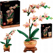 LEGO® Botanicals 10343 Miniatúrna orchidea