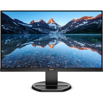 Philips 252B9
