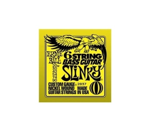 Ernie Ball 2837