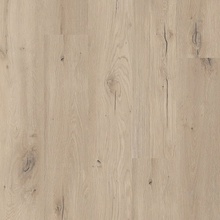 CoreTec Flexile 1200 50FLX806 Forest 3,69 m²