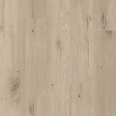 CoreTec Flexile 1200 50FLX806 Forest 3,69 m²