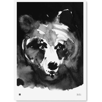 Plagát Mysterious Bear 50x70