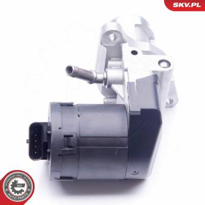 AGR - Ventil ESEN SKV 14SKV169