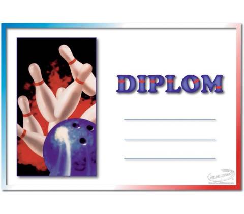DB06b Diplom bowling