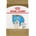 Royal Canin Golden Retriever Puppy 3 kg