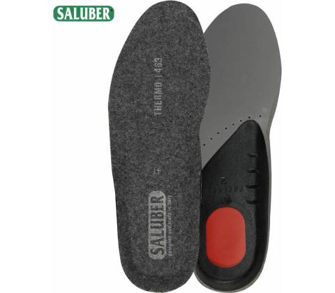 Saluber Active 463 Thermo