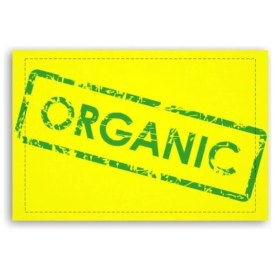 Fotoobraz 60x40 cm malý Organic