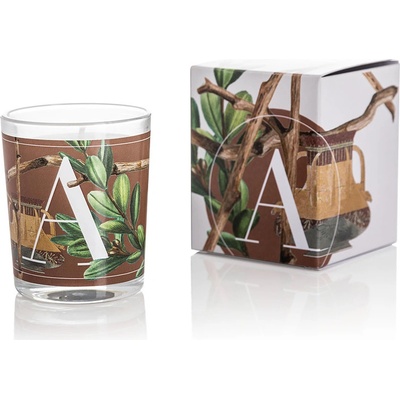 Pernici Elementi Amber & Wood 70 g