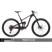 Kona Process 134 2022