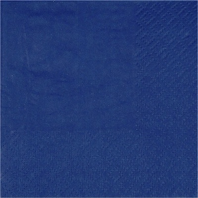 Santex Ubrousky papírové Navy 21x20cm 10ks
