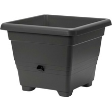 Plastia samozavlažovací BERGAMOT 50 x 50 50 x 50 cm