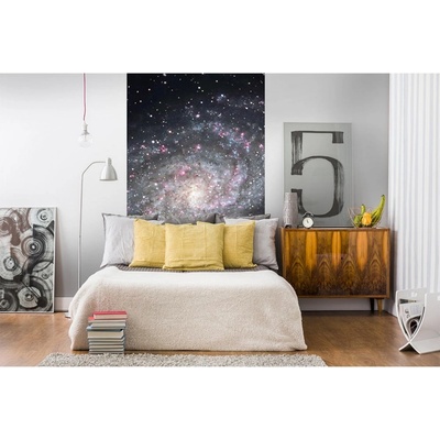 Dimex MS-2-0189 vliesová fototapeta na zeď Galaxia rozmery 150 x 250 cm