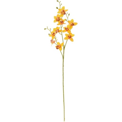 KS ORCHIDEA PHALAENOPSIS ŽLTÁ 80CM
