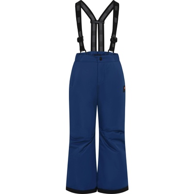 LEGO® kidswear Lwpayton 701 ski pants 116