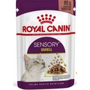 Royal Canin Sensory Smell in gravy 85 g