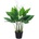 Bizzotto ИЗКУСТВЕНО РАСТЕНИЕ calla 68cm ЗЕЛЕНО (0172496)