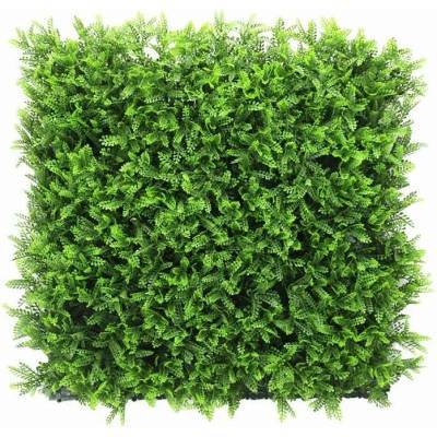 Umělý živý plot ASPLENIUM třída nehořlavosti B, 4ks dílce 50x50cm