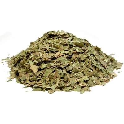 Bylík Ginkgo biloba list 250 g