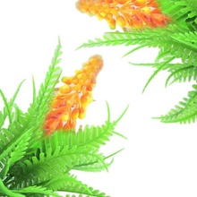 Tropical Spirulina granulát 10 l