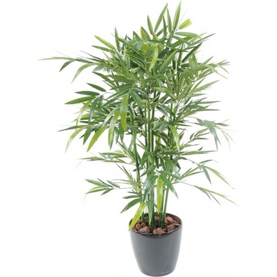 BAMBUS NEW GREEN, 120cm