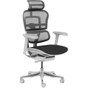 Ергономичен стол ergohuman elite 2 - сива рамка - черен (b3520661)