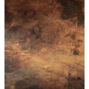 DIMEX ART Флизелинов фототапет надраскана мед 225 x 250 см