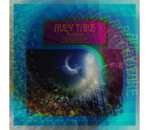 TARE, AVEY - EUCALYPTUS LTD LP
