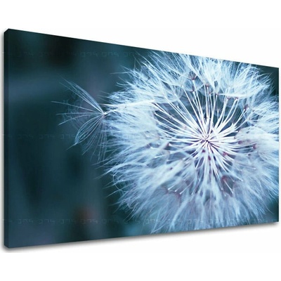 Obraz na stenu KVETY - 20x30