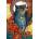 Castorland - Puzzle Hoot, David Galchutt - 1 500 piese