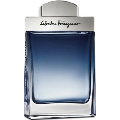 Ferragamo Subtil toaletná voda pánska 100 ml