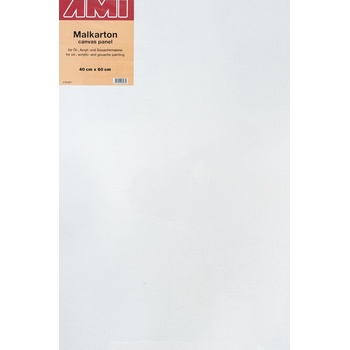 AMI Платно Art White 40 x 60 cm 1 бр (579921)