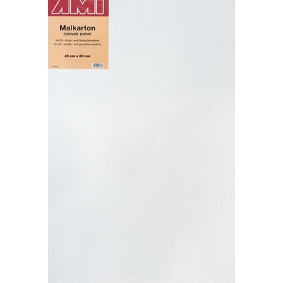 AMI Платно Art White 40 x 60 cm 1 бр (579921)