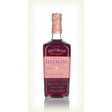 Hayman's Sloe Gin 26% 0,7 l (čistá fľaša)