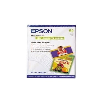 Epson S041106