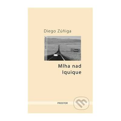 Mlha nad Iquique - Diego Zúñiga