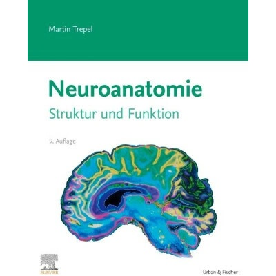 Neuroanatomie