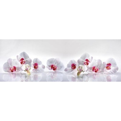 Bílá orchidej 1 deska 100x35