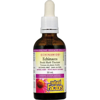 Natural Factors Echinamide Echinacea Билкова тинктура, 50 ml, Natural Factors