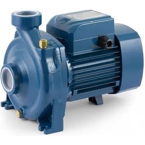 Pedrollo HF 70C