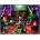 Ravensburger - Puzzle Star Wars: Boba and bounty hunter - 1 500 piese
