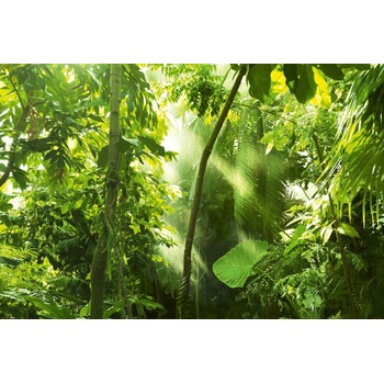 DIMEX ART s. r. o Флизелинов фототапет тропическа гора 375 x 250 см