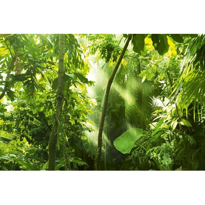 DIMEX ART Флизелинов фототапет тропическа гора 375 x 250 см