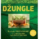 Džungle