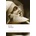 Iliad HomerPaperback