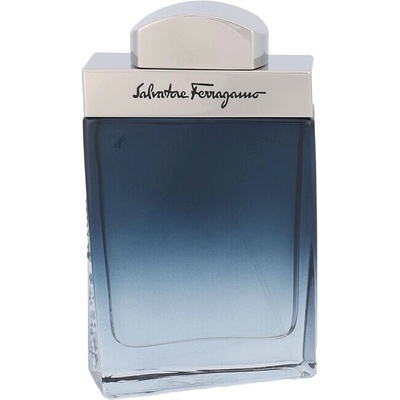 Ferragamo Subtil toaletná voda pánska 50 ml