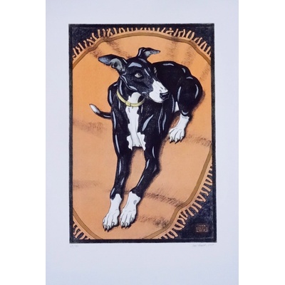 Ivan Kováčik Greyhound