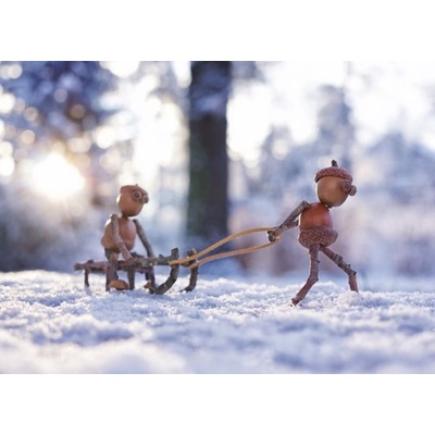 Pohlednice Dubánci sáňkují – Zbozi.Blesk.cz