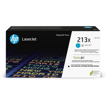 HP W2131X